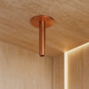 BRACCIO-DOCCIA-SOFFITTO-LEVANTE-CORTO-ORO-ROSA BRACCIO DOCCIA SOFFITTO LEVANTE CORTO ORO ROSA Ambientata 100x100