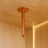 BRACCIO-DOCCIA-SOFFITTO-LEVANTE-LUNGO-ORO-ROSA BRACCIO DOCCIA SOFFITTO LEVANTE LUNGO ORO ROSA Ambientata 100x100