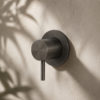 DEVIATORE-MURO-LEVANTE-CANNA-FUCILE DEVIATORE MURO LEVANTE CANNA FUCILE Ambientata 100x100