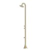 DOCCIA-INOX-LUNA-DOPPIO-TMP-ORO DOCCIA INOX LUNA DOPPIO TMP ORO 100x100