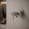 MISCELATORE-MURO-ATTACCO-DOCCINO-LEVANTE-INOX MISCELATORE MURO ATTACCO DOCCINO LEVANTE INOX Ambientata 100x100